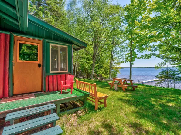 17351 De Shetler Rd, Curtis, MI 49820