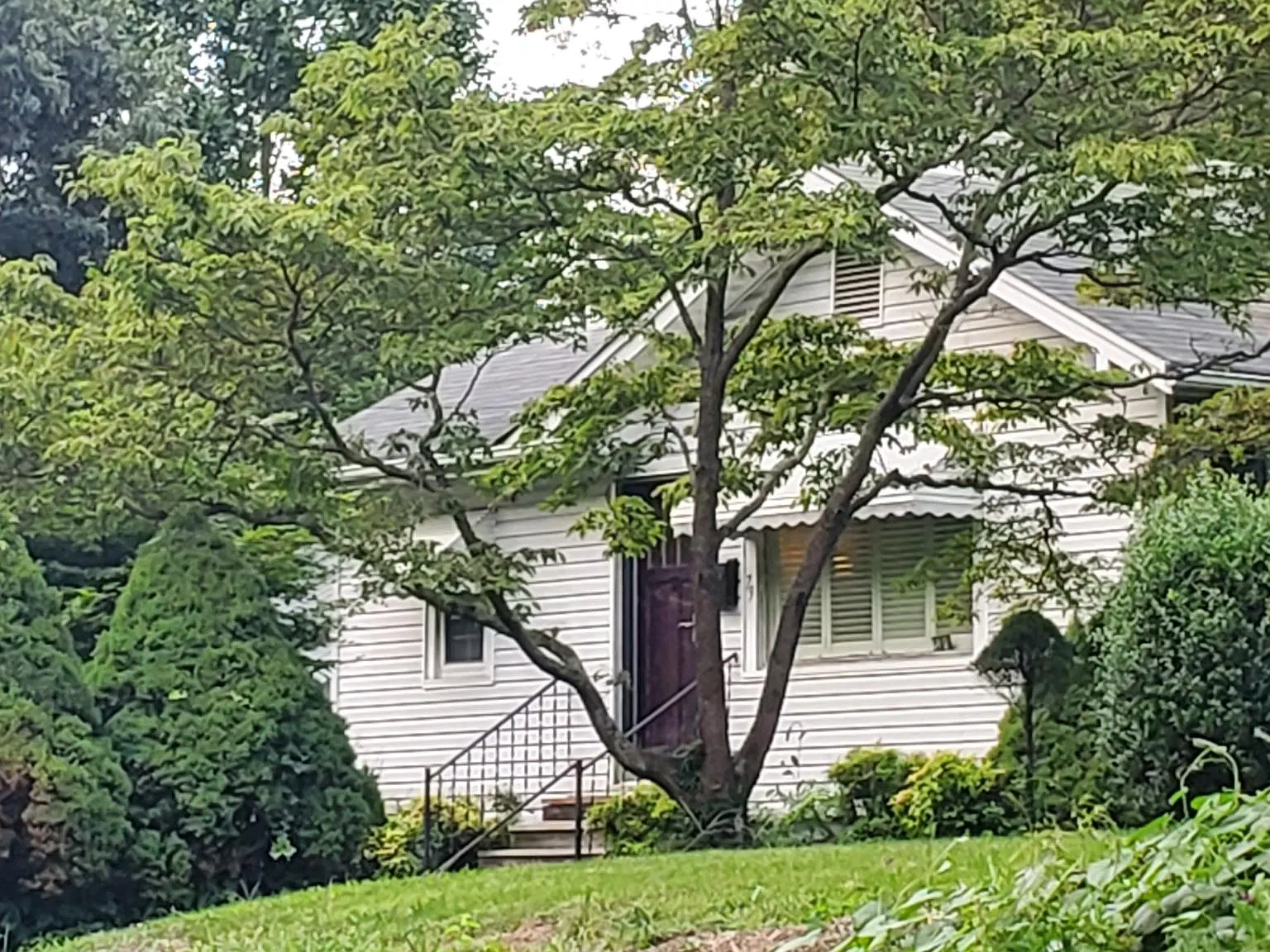 3 bed, 1131 sqft, $2,000 — Photo 2