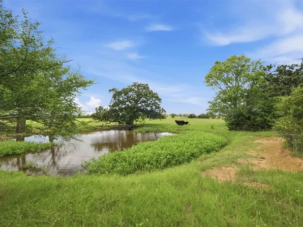 TRACT 6 Holly Cemetery Rd Lot 6, Franklin, TX 77856