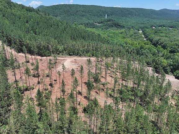 5th image of 14 Palmer Mountain Rd