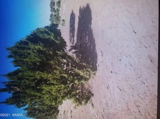 31 County Road 5203, Concho, AZ 85924