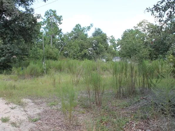 4621 Etterlee Rd, Blythe, GA 30805