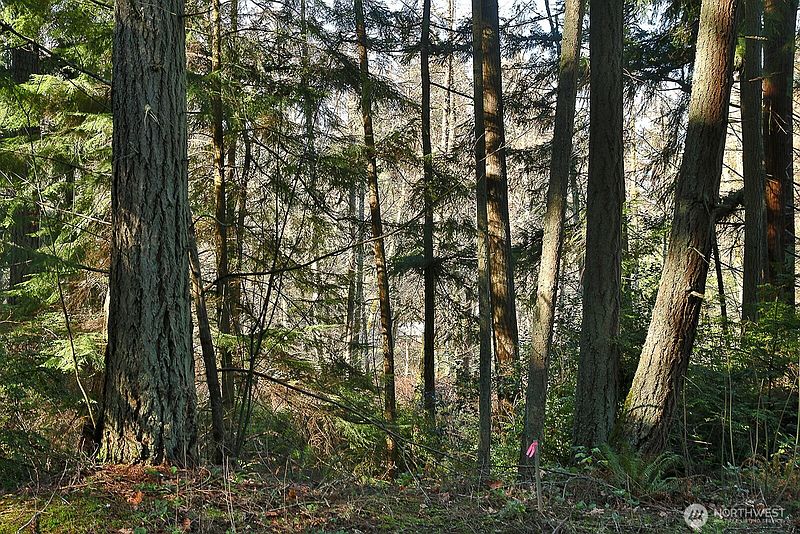 2nd image of 6880 Holst Road