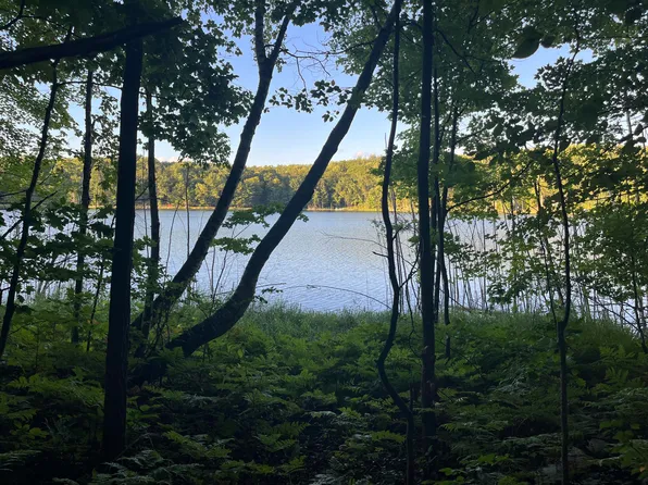 LOT 126 Alpine Dr, Reed City, MI 49677