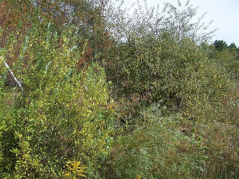 2nd image of Kregel Ave