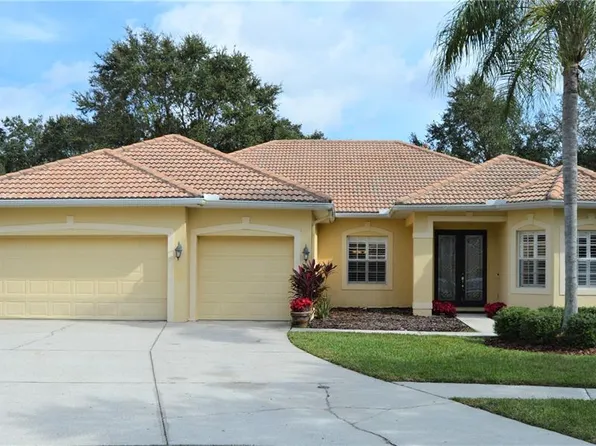 18019 Avalon Ln, Tampa, FL 33647