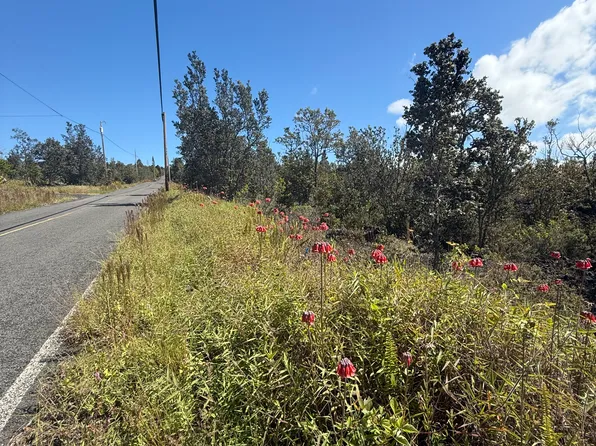 92-2172 Ocean View Pkwy Lot 3, Captain Cook, HI 96704