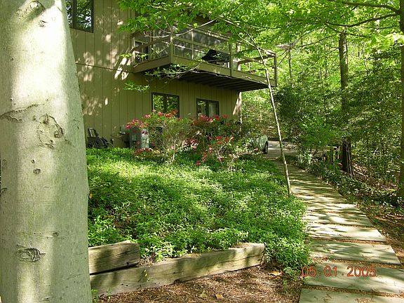 Back yard looking up at house