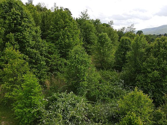 5th image of 0 Landmark Ln Lot 51