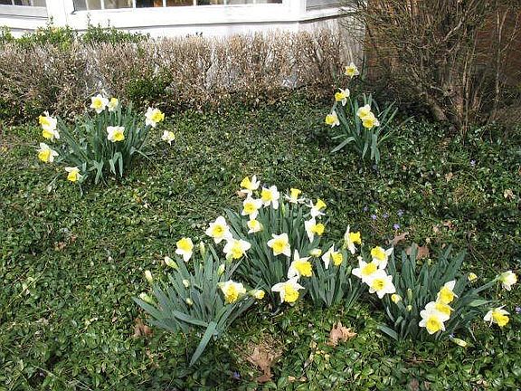 First signs of spring!