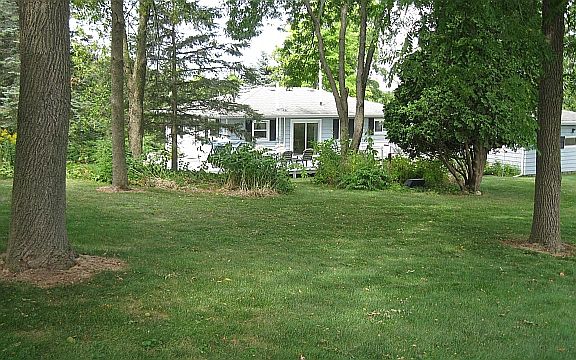 nestled in the trees