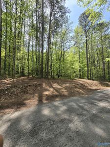 Lot 23 Shoreland Circle, Scottsboro, AL, 35769