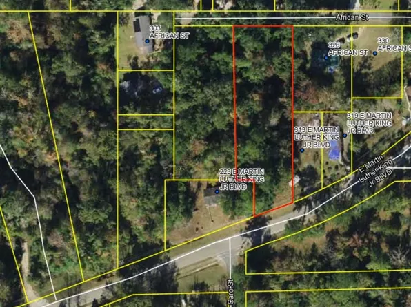 Martin Luther King Blvd, Chattahoochee, FL 32324