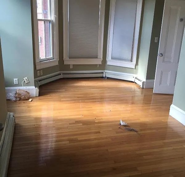 437 Columbus Ave #2 — Photo 10