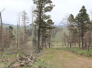 Forbes Park Rd, Fort Garland, CO 81133