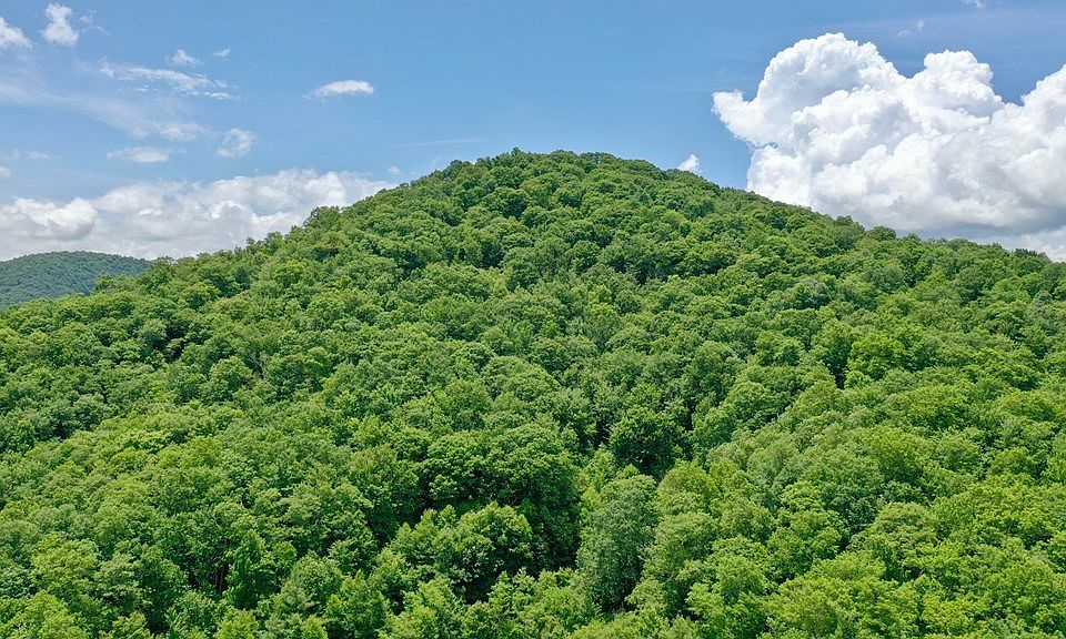 2nd image of 4542 Charleys Creek Rd Lot 0