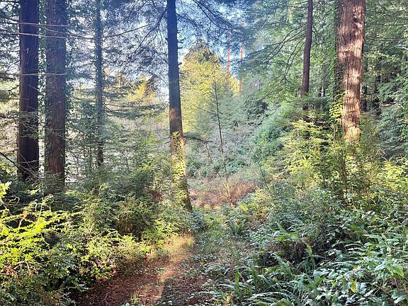 3rd image of 0 Spears Rd