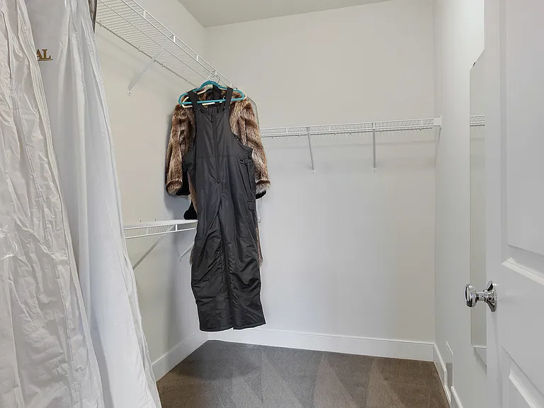 LL Bedroom #5 walk-in closet