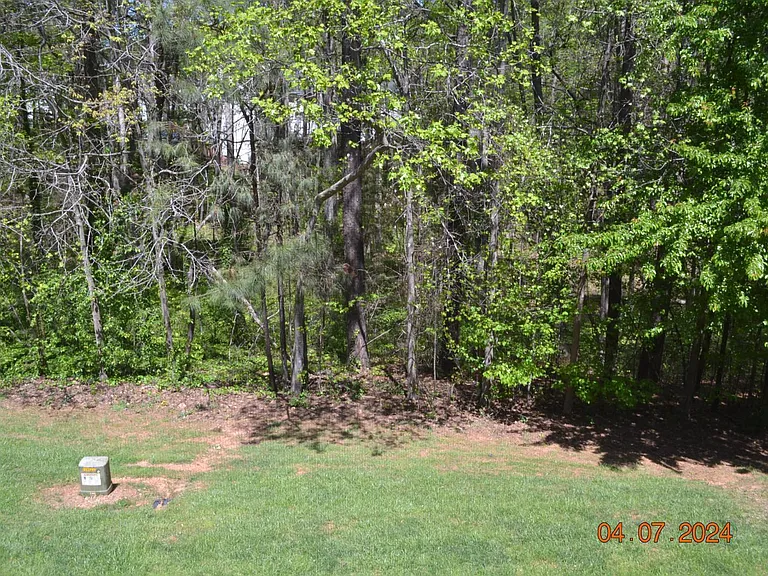 4506 Mistiflower Dr — Photo 9