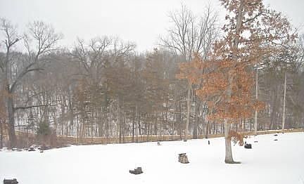 2nd image of 5509 Oak Ln
