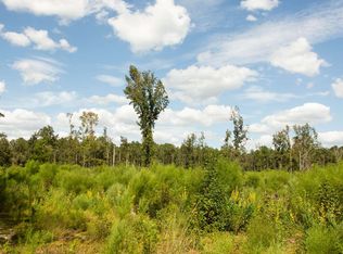 259 NE Gold Dust Rd, Branford, FL 32008