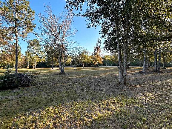 5th image of 0 Serenity Springs Dr