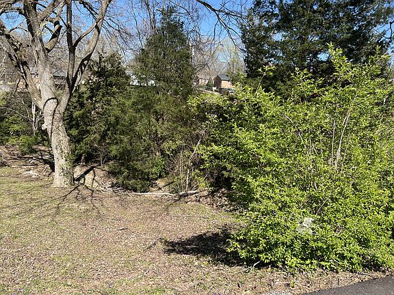 2nd image of 323 Clearview Dr Lot 61