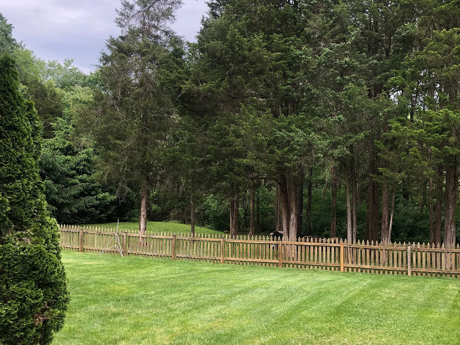 6 bed, 3307 sqft, $4,500 — Photo 2