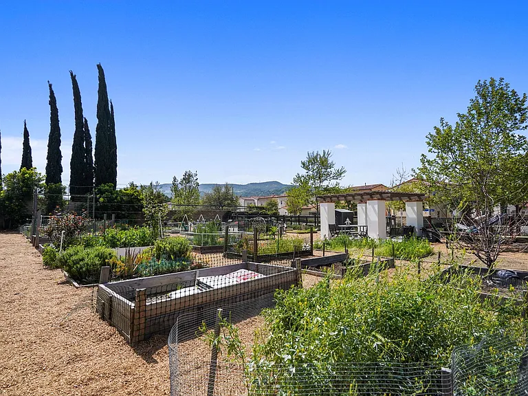 community garden