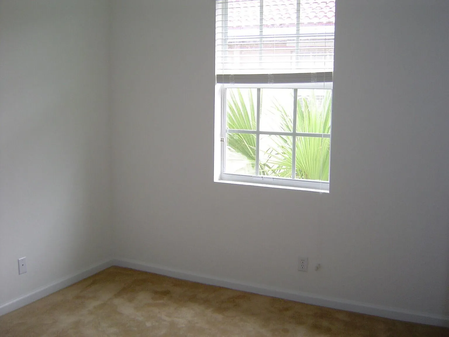 3 bed, 2.5 bath, 1316 sqft, $2,497 — Photo 4