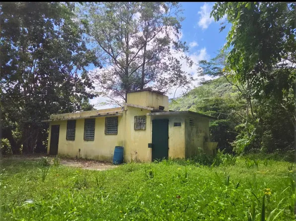 Calle Mogote Bo Palo Hincado, Barranquitas, PR 00794