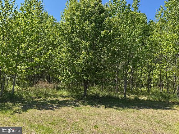 3rd image of 1913 Swan Way