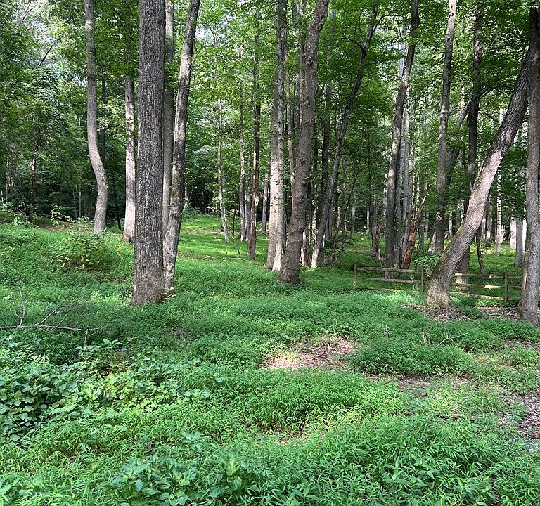 2nd image of 37 Crosshills Rd