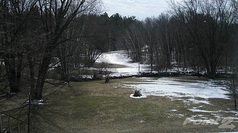 The Little Rib River Runs Thru the Property
