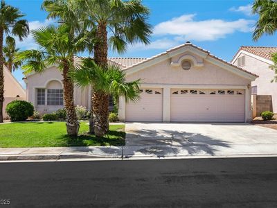 9205 Desert Village Ave, Las Vegas, NV, 89147