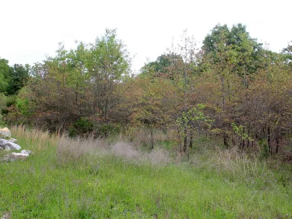 6 Farmers Cir, Mountain Home, AR 72653