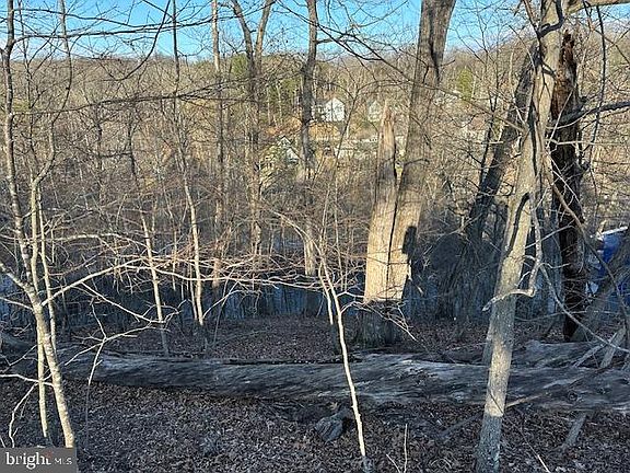 4th image of 1231 Lakeview Dr