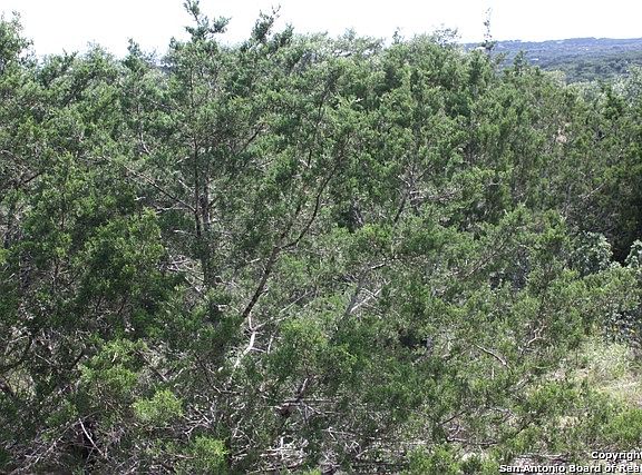 3rd image of 126 Comal Crst