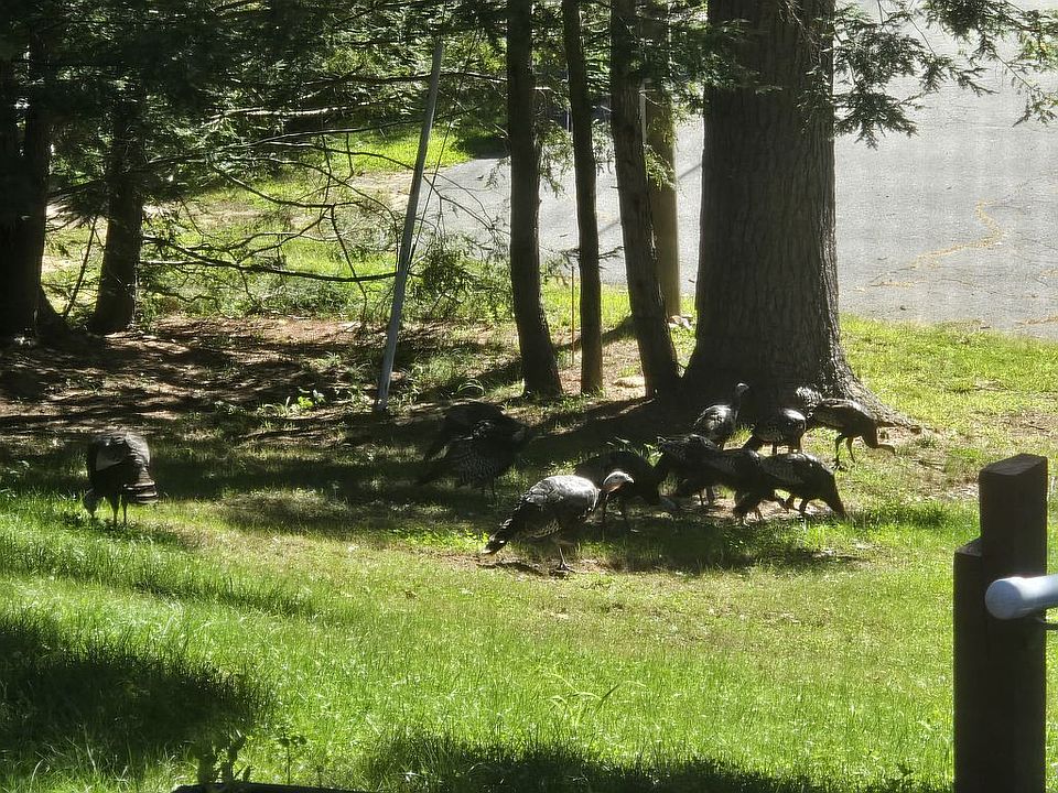 1st image of 24 Pendleton Rd