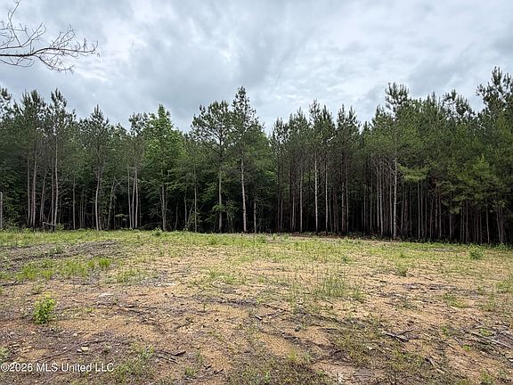 2nd image of 157 Walker Bottom Rd