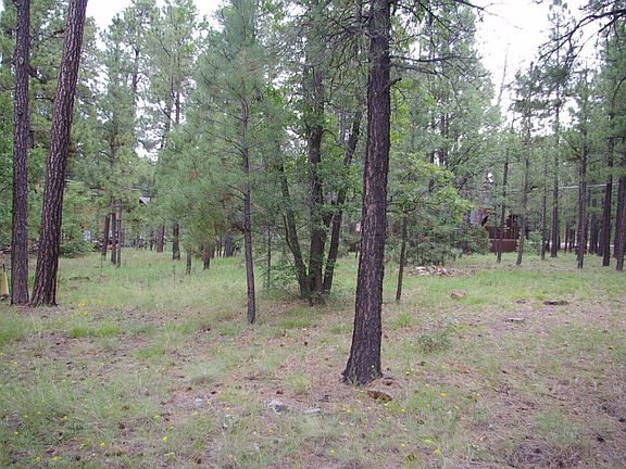 4th image of 2744 Roan Cir