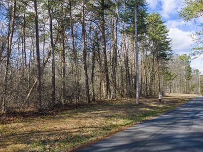 Bird Dog Trl NE, Fort Payne, AL, 35967