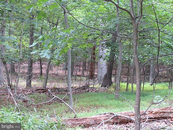 5th image of LOT 11 Audubon Rd