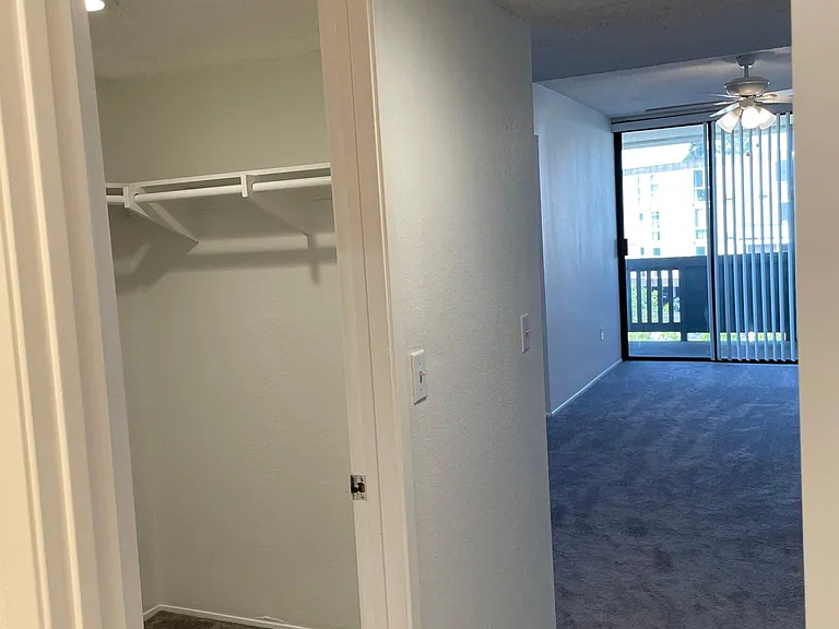 master walk-in closet