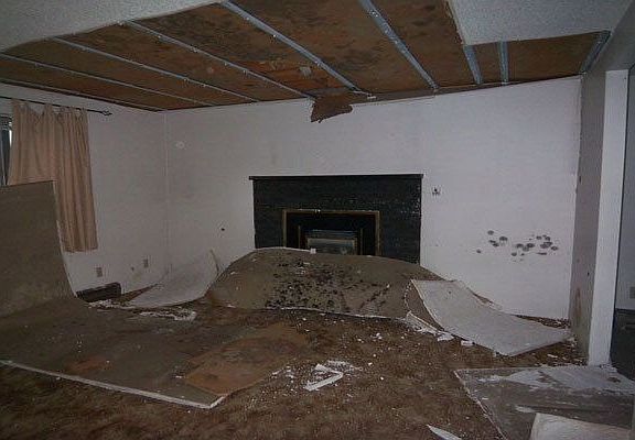 2nd image of 903 Spartan Dr