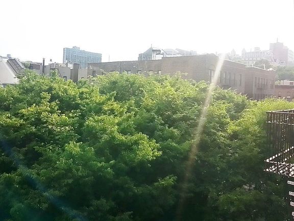 5th image of 315 W 115th St #Xfl5