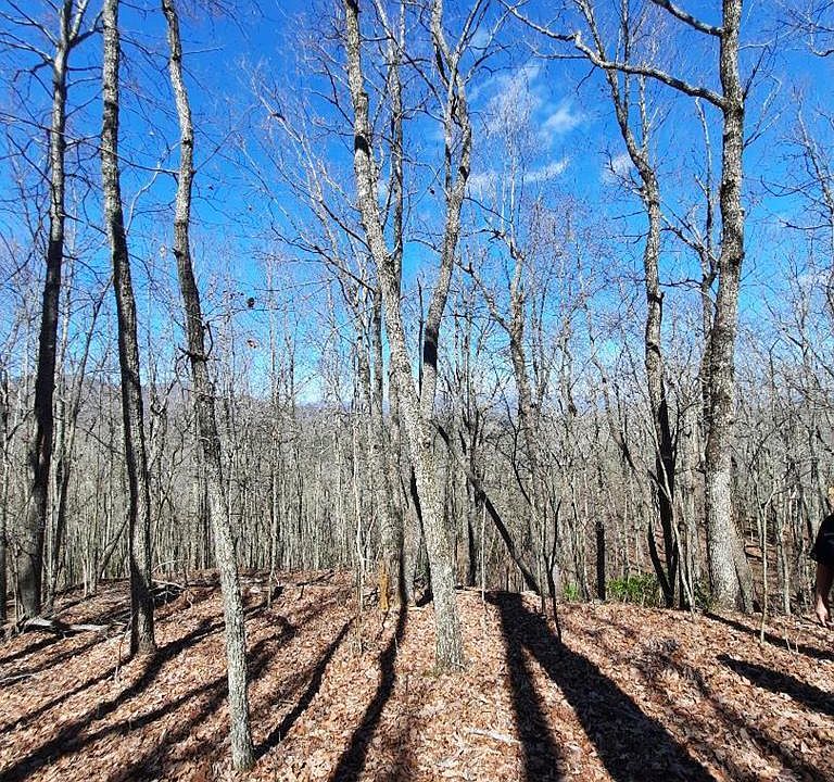 1st image of LOT 7 Quail Dr