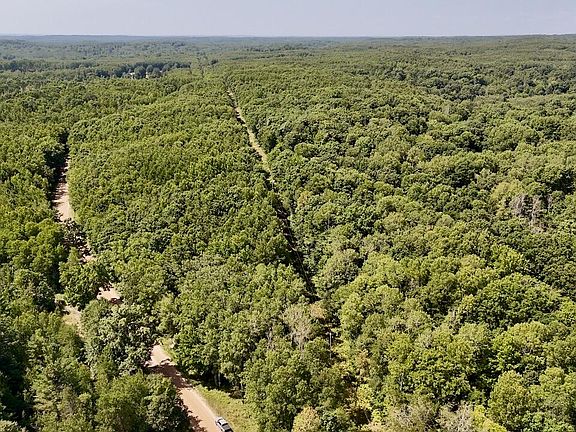 2nd image of 7 Mile Rd