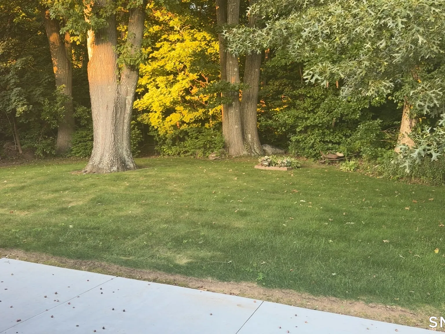 3 bed, 1.0 bath, 1048 sqft, $2,350 — Photo 3