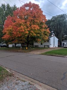 715 Neier Rd, Mount Pleasant, MI, 48858